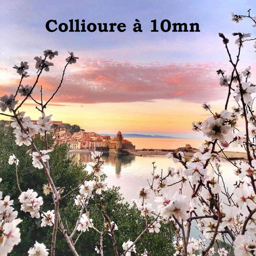 Maison Small Luxury ( planxa,suite,solarium,jacuzzi,pas de vis à vis) Argelès-sur-Mer Exterior foto